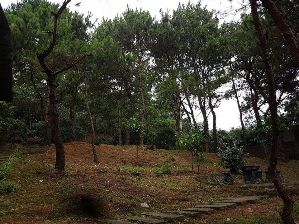 Bachlien Pine Forest Villa Hanoi Bagian luar foto