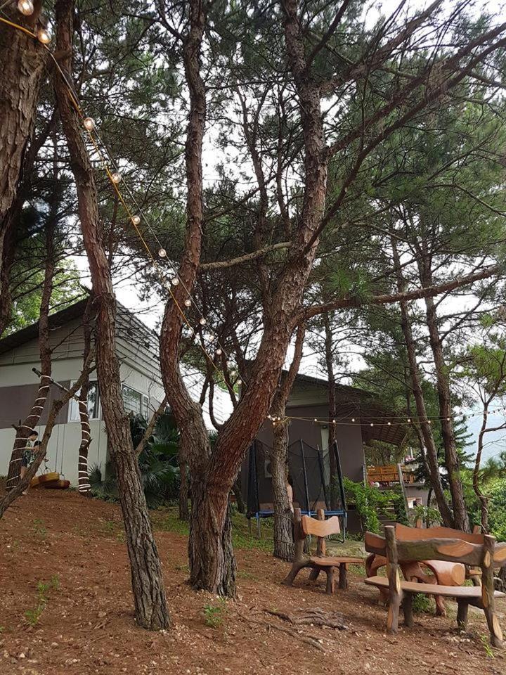 Bachlien Pine Forest Villa Hanoi Bagian luar foto